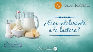 ¡NO MÁS INTOLERANCIA A LA LACTOSA HAZ TU PROPIA LECHE DE AVENA ALMENDRA Y NUEZ EN CASA [upl. by Thelma]