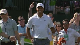 Tiger Woods plays No 16 during proam at Waste Management [upl. by Annunciata]