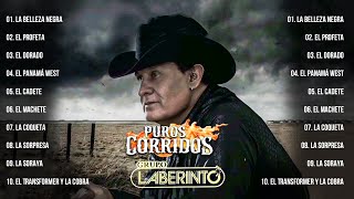 1 Hora De Puros Corridos De Caballos De Grupo Laberinto  Corridos Exitos Mix Lo Mejor de Lo Mejor [upl. by Sylvia]