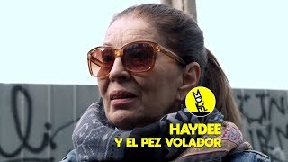 Haydee y el pez volador  Trailer  Vela ahora en Miradoc Online [upl. by Homere429]