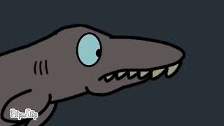 frilled shark encounter [upl. by Trenton]