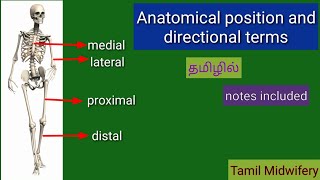 Anatomical position and directional terms  Tami midwifery [upl. by Sillyrama]