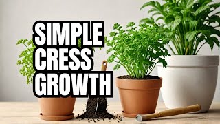 How to Grow Lepidium sativum at Home  Easy Steps for Planting and Harvesting [upl. by Marler292]