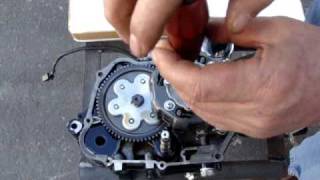 TaoTao 125cc clutch install [upl. by Booma]