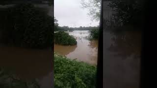 barish se pani pura floor ho gaya hai pura kheti khatam ho gaya hai 😭😭😭😭 [upl. by Altis]