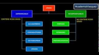 Lípidos Propiedades Funciones y Clasificación [upl. by Arinayed]