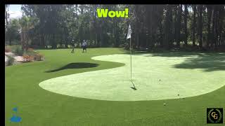 Realistic golf check shots on artificial backyard putting greens  Wisconsin [upl. by Allwein]