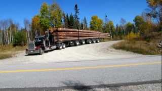 Peterbilt 359 Classic big smoke Logging [upl. by Etnahc]