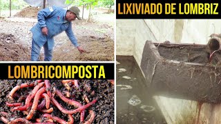 Producción de Humus y Lixiviado de Lombriz para la Agricultura Ecológica [upl. by Lehcyar]