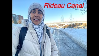 Rideau Canal evening activities in Ottawa Canada [upl. by Ellevel]