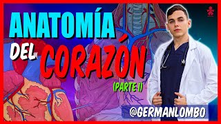 TEMA 1  ANATOMÍA DEL CORAZÓN  Generalidades y Configuración Externa [upl. by Petrick]