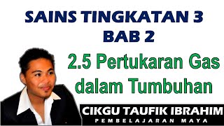 Sains Tingkatan 3 KSSM I Bab 2 Respirasi I 25 Pertukaran Gas dalam Tumbuhan [upl. by Mars909]