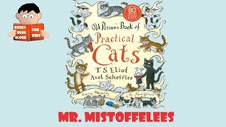 Mr Mistoffelees  Old Possums Book of Practical Cats by Books Read Aloud for Kids [upl. by Dnaletak]