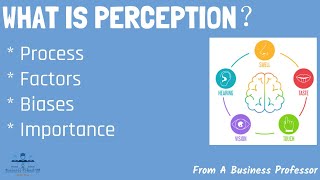 5 Most Common Types of Perceptual Biases in the Workplace  From A Business Professor [upl. by Lauree]