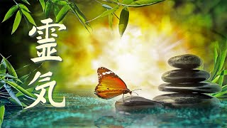 Reiki Music Emotional amp Physical Healing Music Cleanse Negative Energy Chakras Healing [upl. by Schram]