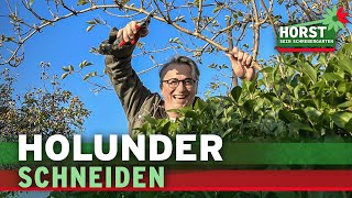 Wie und wann schneidet man Holunder  Horst sein Schrebergarten [upl. by Eintruoc]