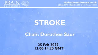 THE BRAIN CONFERENCE 2022 Stroke Session [upl. by Trebornhoj]