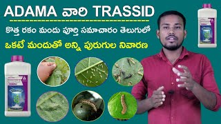 Adama Trassid Insecticide full details in telugu  మిరపలో ఒకటే మందుతో అన్ని పురుగుల నివారణ [upl. by Thomasina180]