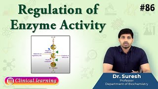 86 Regulation of Enzyme Activity [upl. by Aikram41]