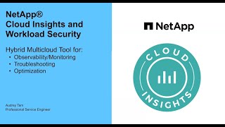 Learn Cloud Insights for ONTAP in 10 minutes [upl. by Anaoy]