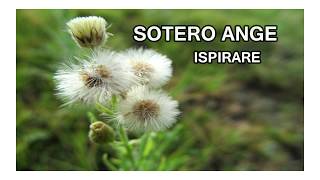 Sotero Ange  Ispirare Original Mix FREE DOWNLOAD [upl. by Michaeu386]