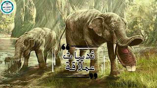 كيف كانت الأرض فى عصر ازدهار الثدييات ؟ [upl. by Nylram]