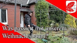 Was passiert mit unserem Weihnachtsbaum [upl. by Lachlan308]