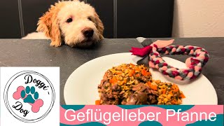 Geflügelleber Pfanne für den Hund  Rezept von DoggiDogcom [upl. by Favianus]