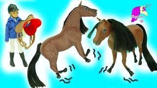 Paradise PozABLES English Rider Doll  Bendy Horse Stretches amp Horse Yoga [upl. by Mochun]