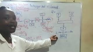 Nitrogen and its compounds Ostwald ProcessIndustrial manufacture of Nitric v acid [upl. by Anail]