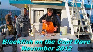 NYC Fishing on the The Capt Dave [upl. by Eiramnwad]