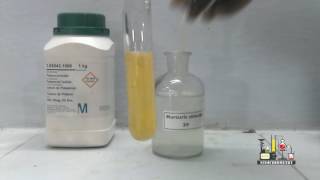 Potassium Iodide and Mercuric Chloride [upl. by Aihsema]