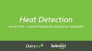 Heat Detection  Anna Irwin DairyNZ [upl. by Adyan586]