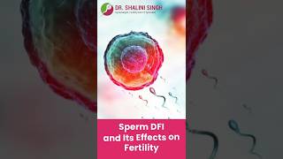 The impact of sperm DNA fragmentation on fertility what need to know [upl. by Fanning]