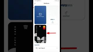 Popy Kartını İnternet Alışverişine Açma [upl. by Stinky]
