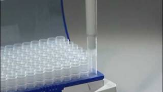 How to use the Forward Pipetting technique with Eppendorf Reference® mechanical pipettes [upl. by Assilym]