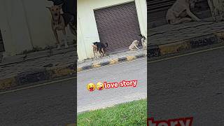 🤪😜😛 dog funny memes doglover comedy trendingreels viralshort indiansong [upl. by Gignac]