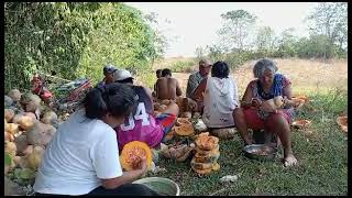 Manual Squash Deseeding farmlife [upl. by Corny]