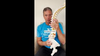 Balanced Posture  Physical Therapy Tip [upl. by Michal]