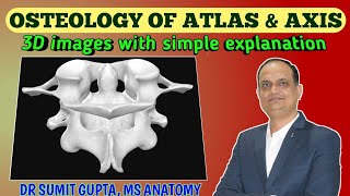 ATLAS amp AXIS VERTEBRAE  Osteology  atypical cervical vertebrae [upl. by Fortier326]