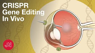 Gene Editing Inside the Body Using CRISPR [upl. by Archibaldo]