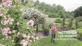 Calendrier du jardinier juillet que faire au jardin ou sur la terrasse  Truffaut [upl. by Maynard]