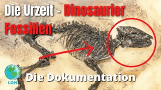 Die Urzeit  Fossilienfunde der Dinosaurier 2021  DEUTSCH  DOKU  DINOSAURIER [upl. by Bajaj]