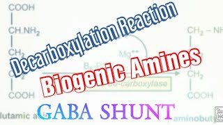 Decarboxylation Reaction Biochemistry Biogenic AminesGABA SHUNT HistaminePolyamines [upl. by Colwen]