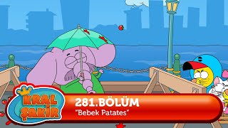 Kral Şakir 281 Bölüm  Bebek Patates Yeni Bölüm [upl. by Nabala]