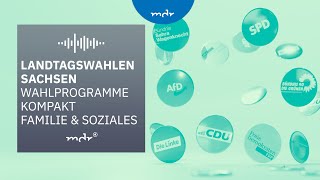 Familie amp Soziales – Das planen Sachsens Parteien  Podcast Wahlprogramme kompakt  MDR [upl. by Emmuela562]