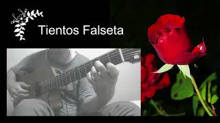 Tientos Flamenco Guitar Falseta  ティエントス ファルセータ [upl. by Froma]