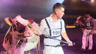 Champion RH Junior Expo Aargau 2023 [upl. by Telracs]