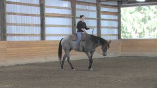 AQHA Western Pleasure Training1 [upl. by Kassie]