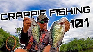 Crappie Fishing 101 EVERYTHING YOU NEED TO KNOW TO CATCH CRAPPIE [upl. by Ronym]